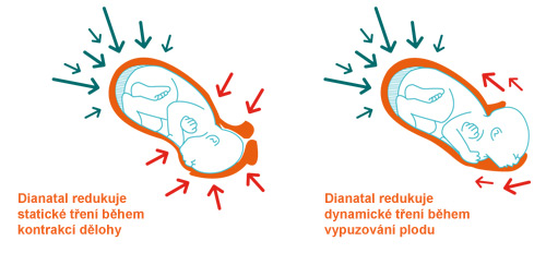 Vaginální porod